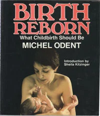 birth-reborn-odent.jpg