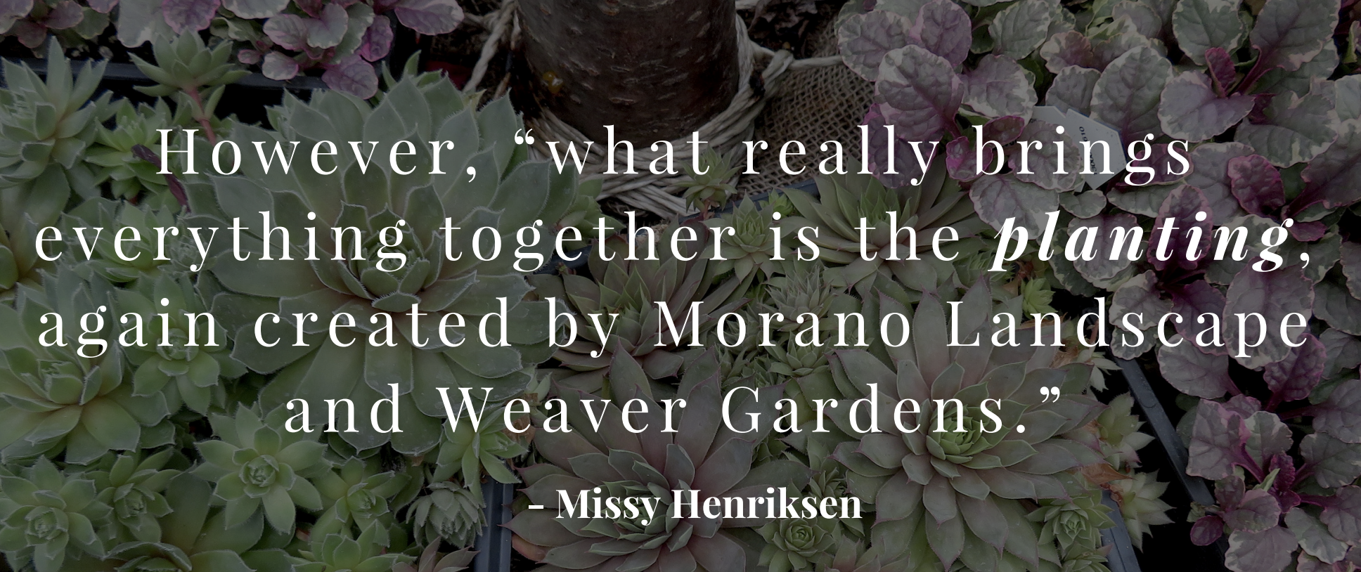 Weaver_Garden_Morano_Landscape_Lights_Water_Tips_Tricks_Ideas_Fox_Friends_Larchmont_NY.png