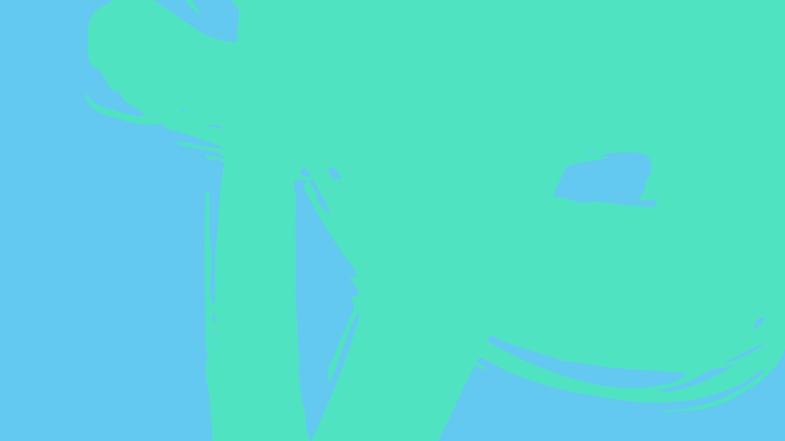 bachgrounds website-03.png