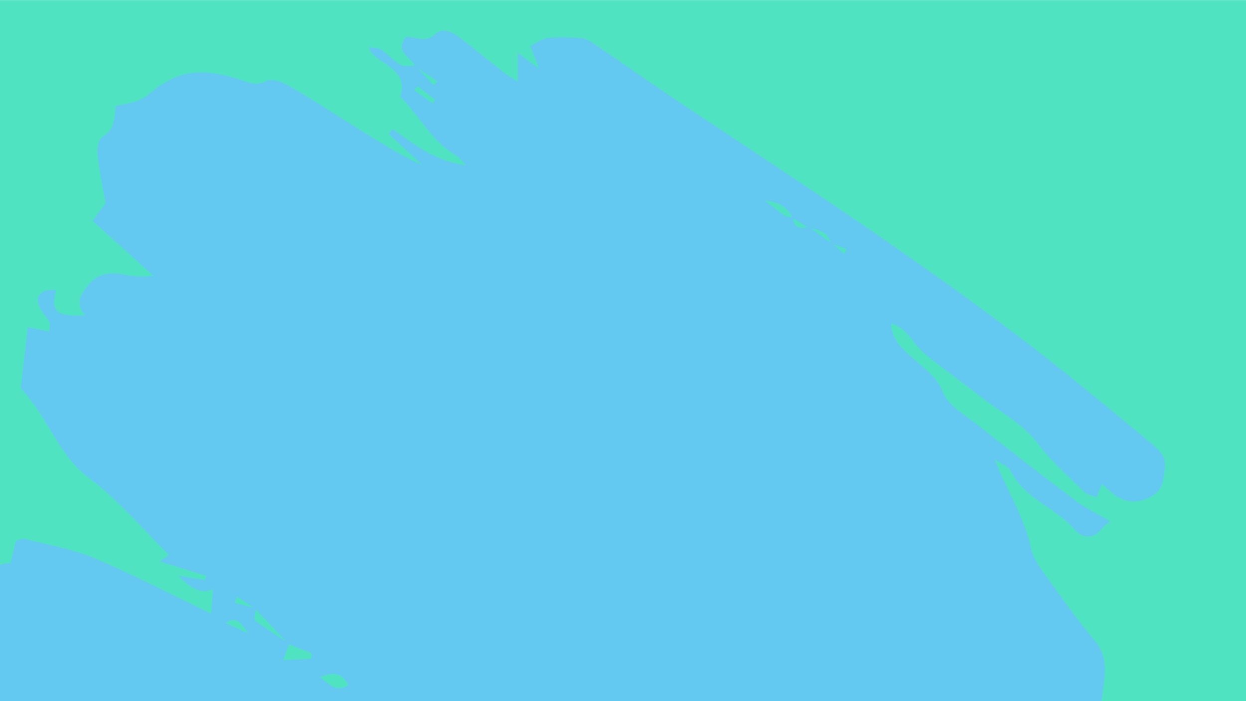 bachgrounds website-04.png