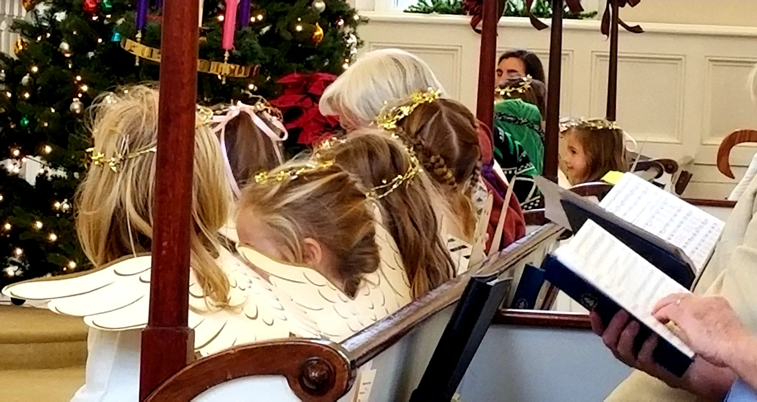 20181216_124837.jpg