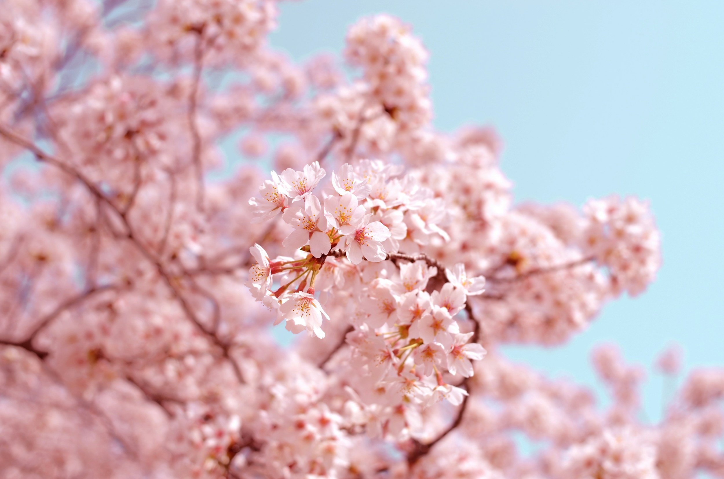 Cancer Support Group - Info Meeting