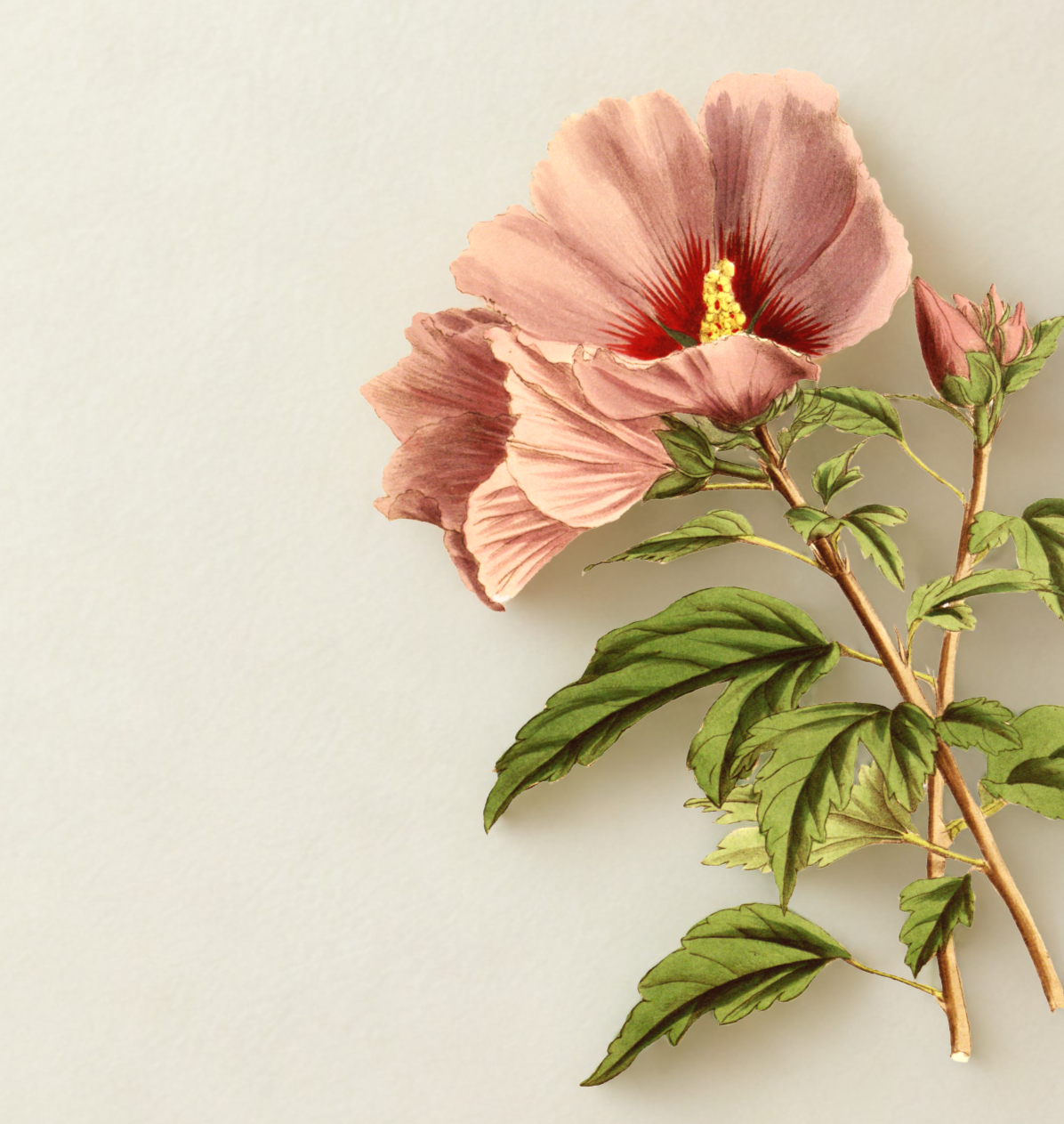 East Hampton Women's Cancer Support Group