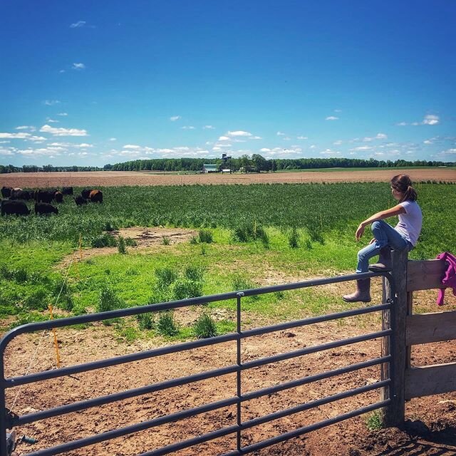 If only perspectives were as easy as a 10 year watching cattle on pasture...... #perspective #lifepaths #tobe10again #innocenceofachild #eightplatesfarm #onthefarm #breathedeep #takeitallin