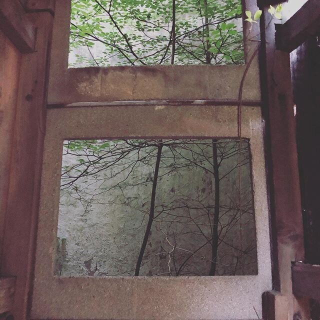 We went to check a neighbors barn to store hay inside.....and you know how you get sidetracked when looking through old barns, or at least I do....
This silo hasn&rsquo;t had feed in it for many, many years, but it does have a few great trees startin