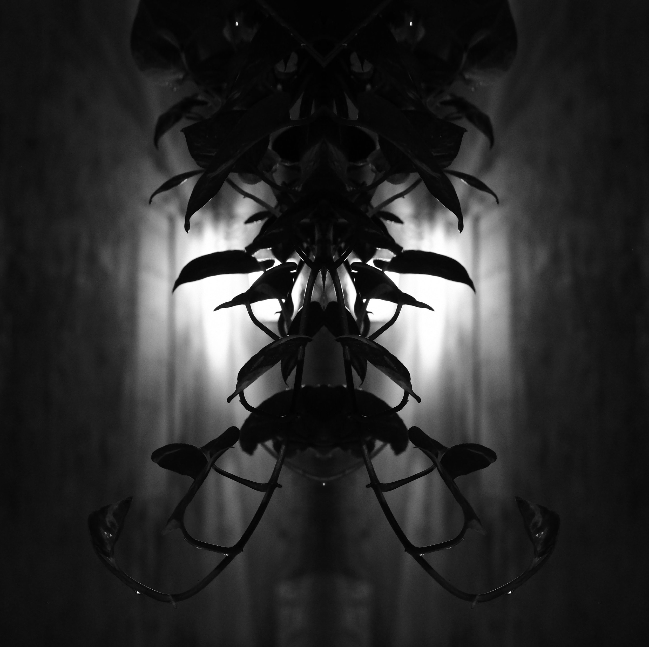 2_Duncan Cauchi_Illustrative_November_Malta_25_110068.jpg