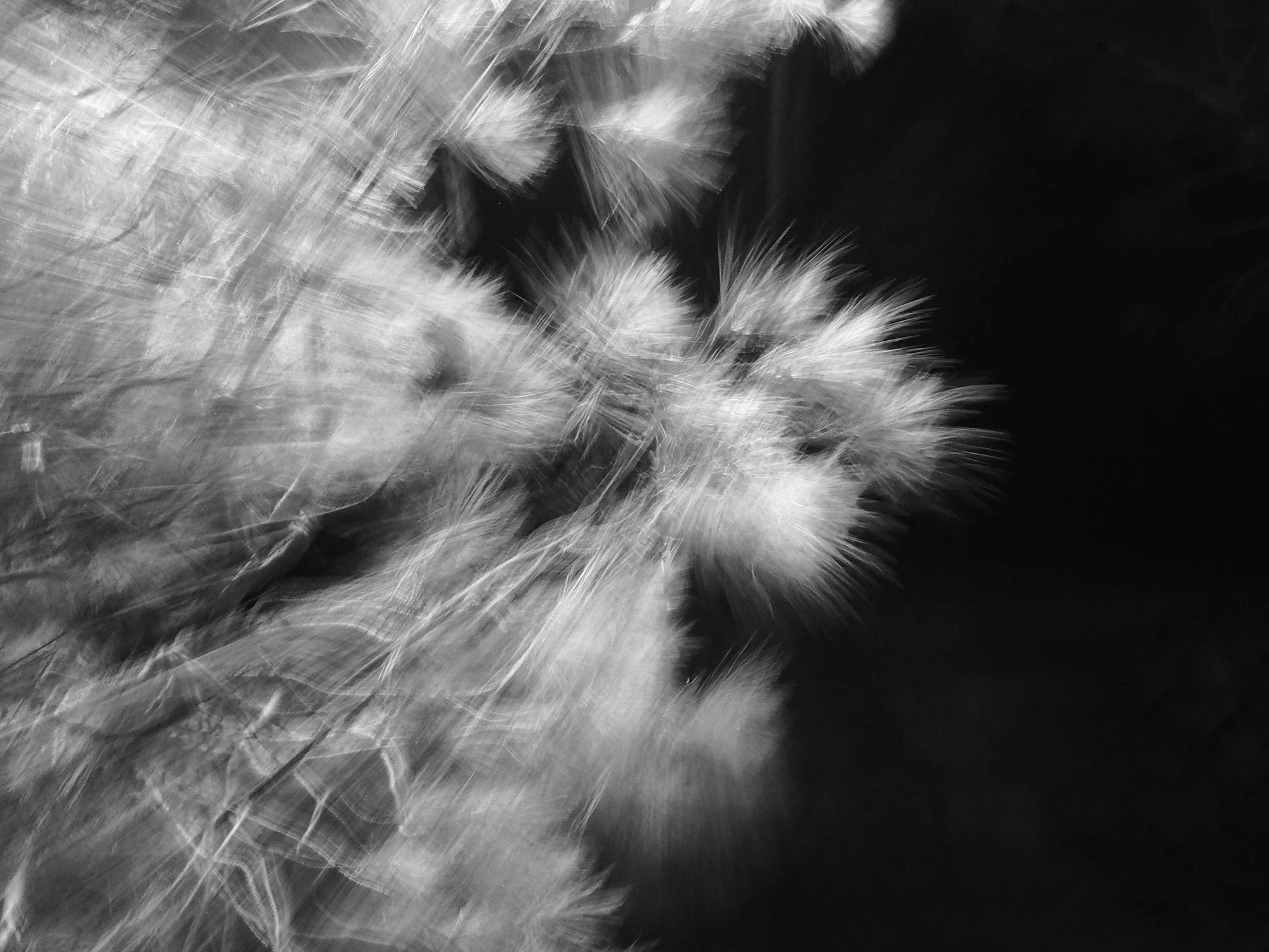 2_Duncan Cauchi_In-camera Artistry_November_Malta_25_110068.jpg