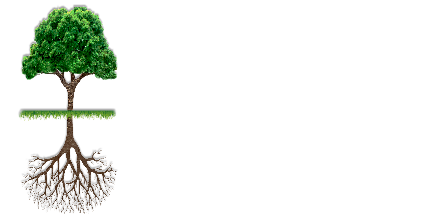 TLC Lawn & Landscape, LLC