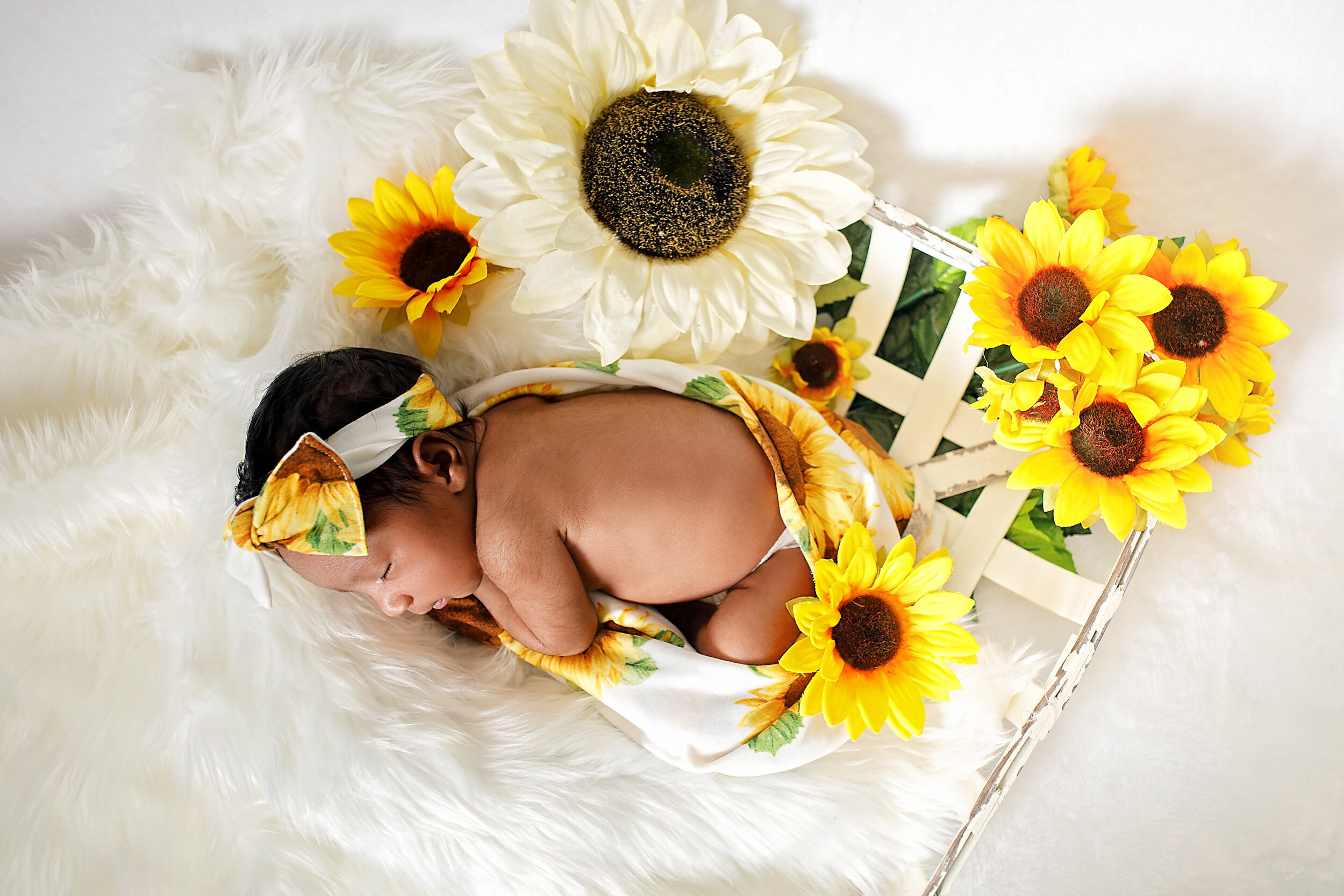 Trunetta Atwater Newborn Photography Blog Jackson TN - 3.jpg