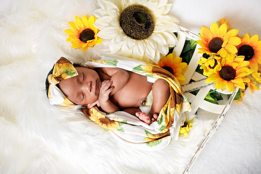 Trunetta Atwater Newborn Photography Blog Jackson TN - 1.jpg
