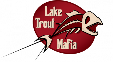 LTM_chosen_10.26.11(1).png