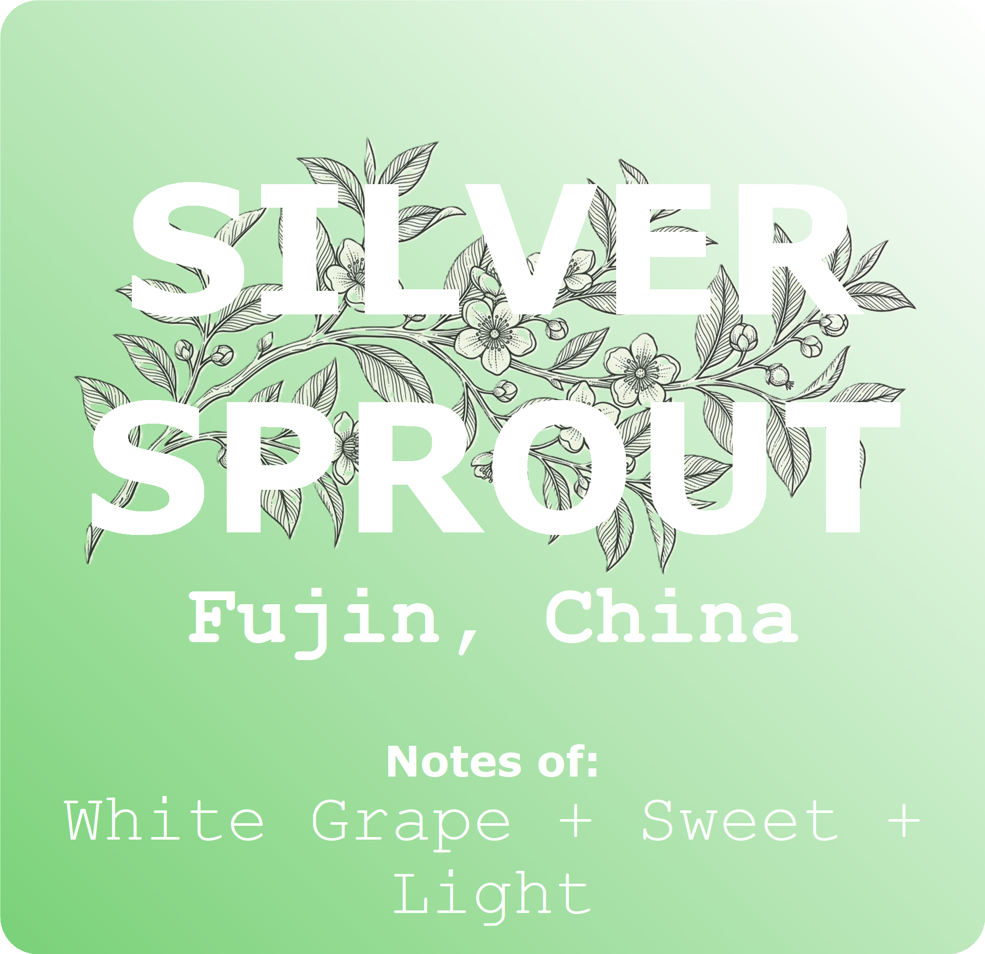 Silver Sprout - Green Tea 2oz