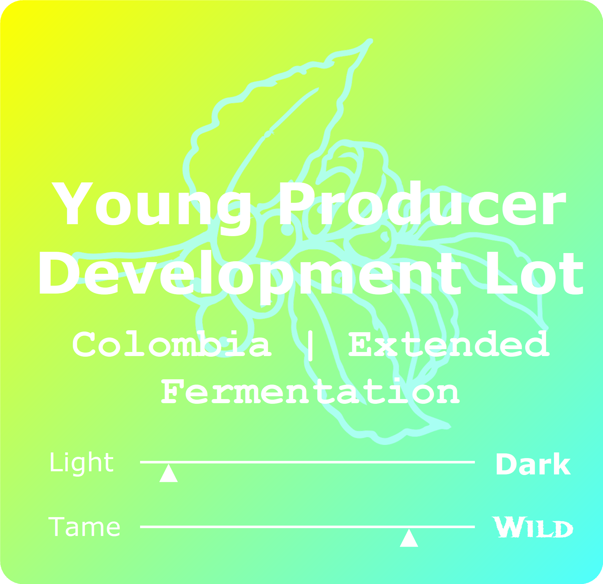 Development lot.png