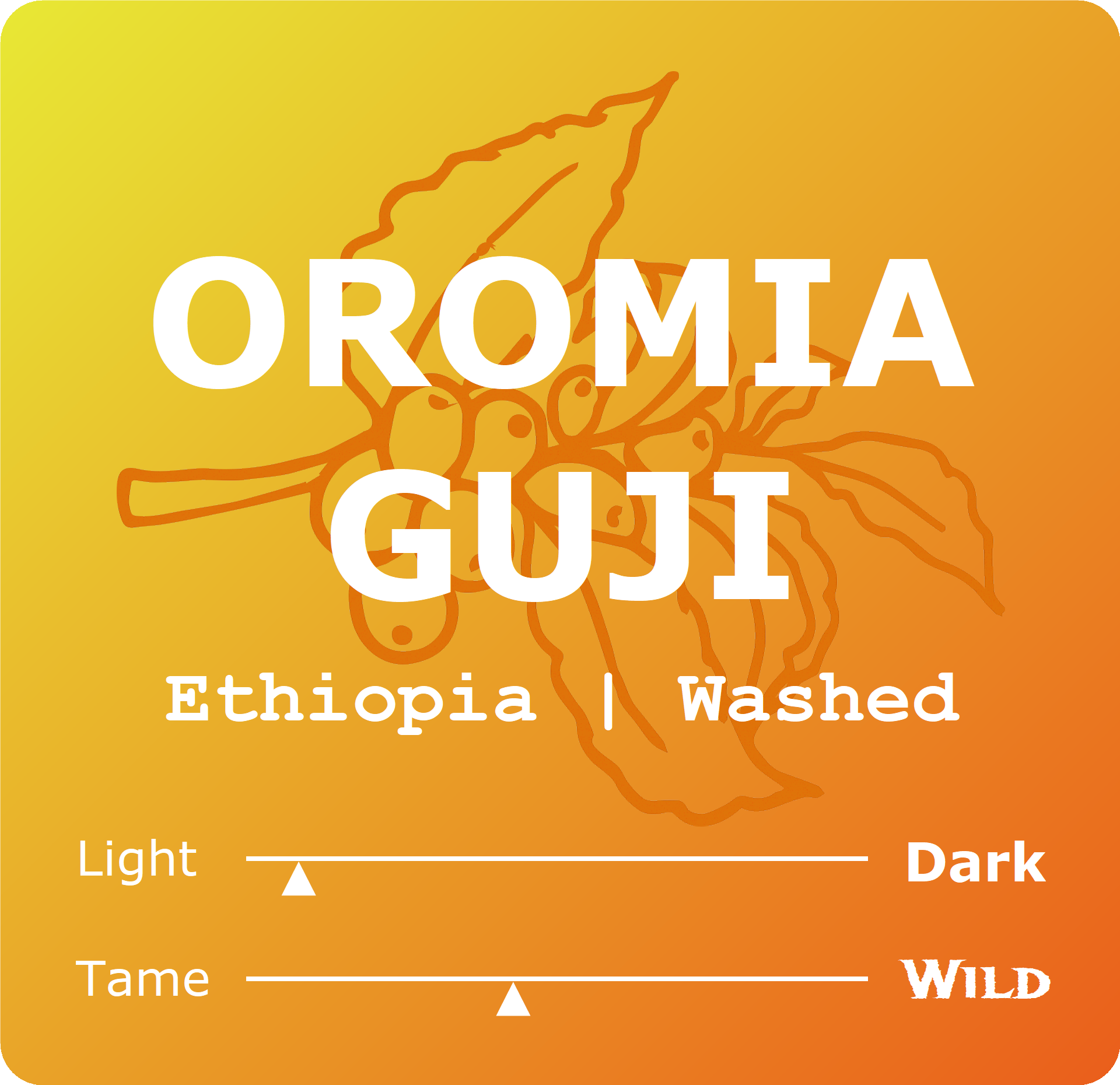 Ethiopia Guji Gr1.png