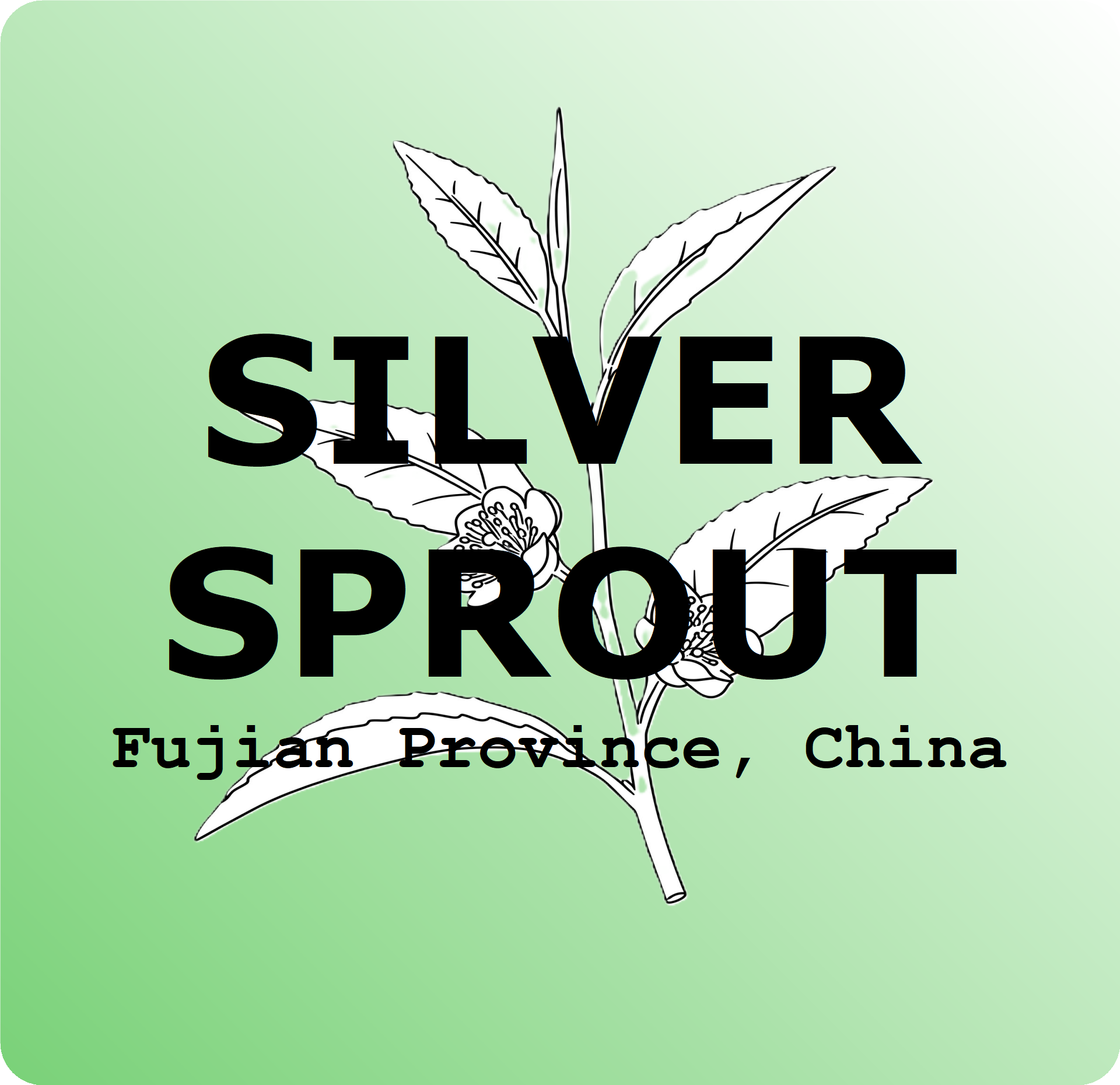 Silver Sprout - Green Tea 2oz