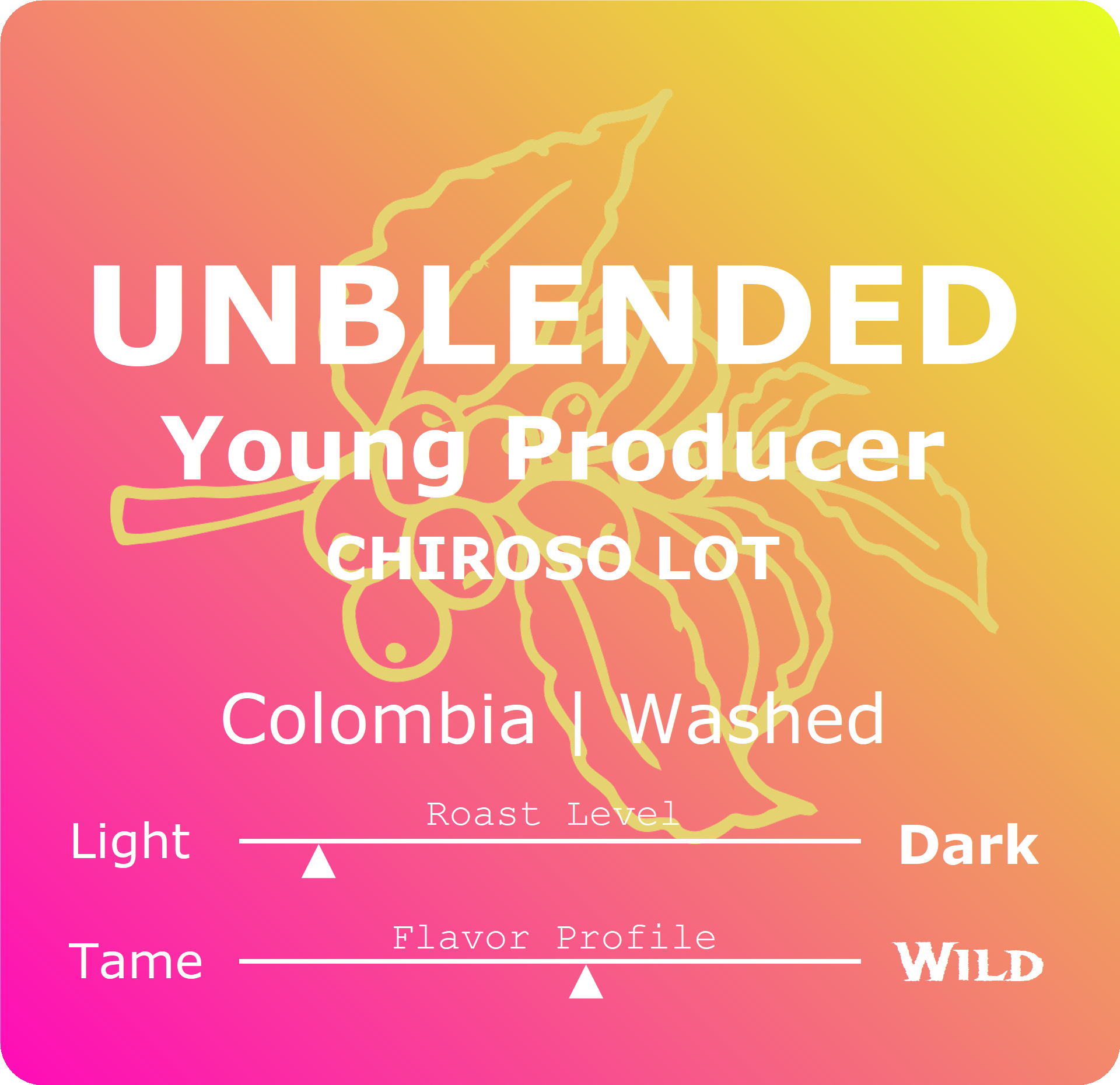 Young Dev Chiroso Square.png