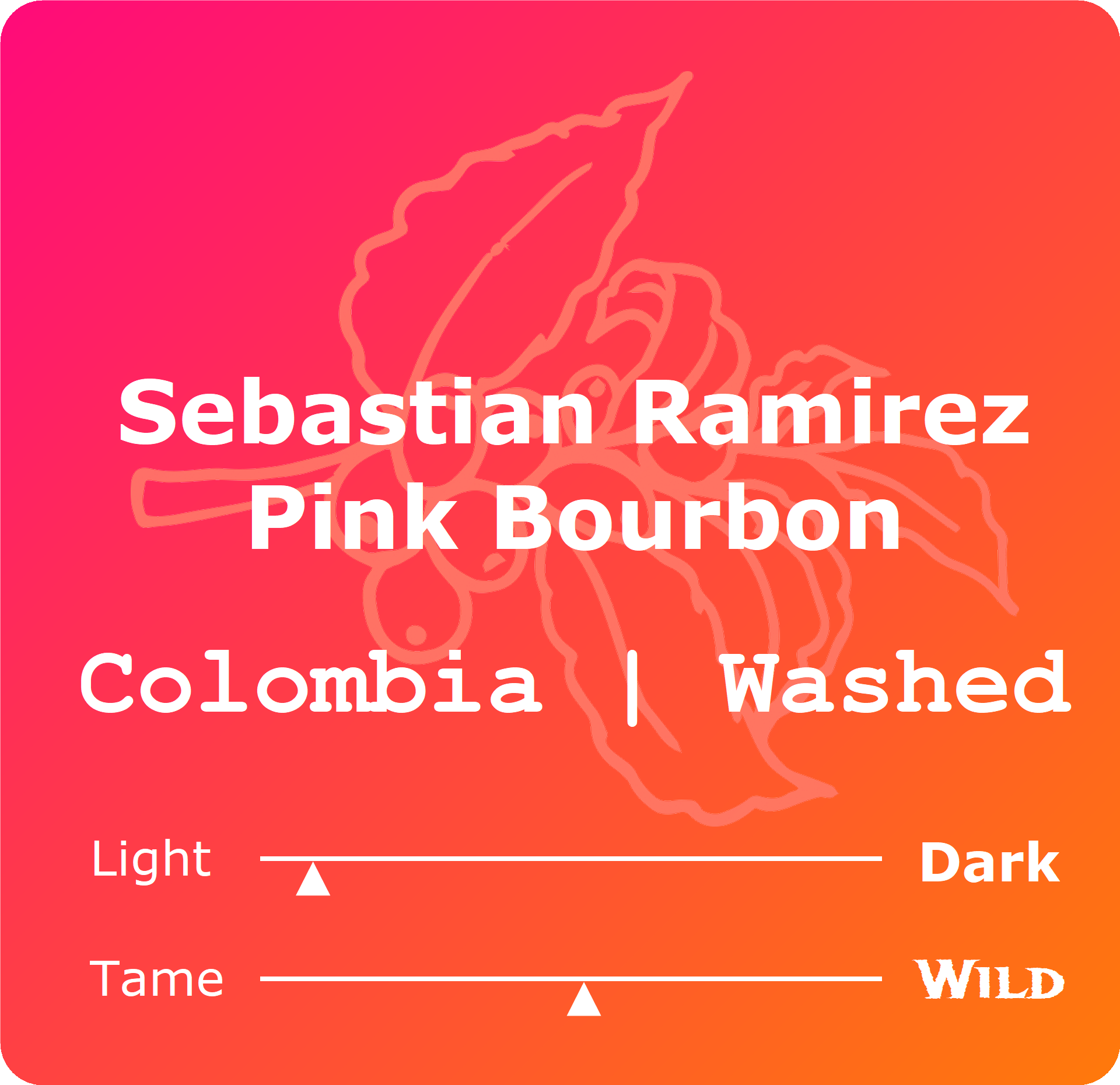 Pink Bourbon.png
