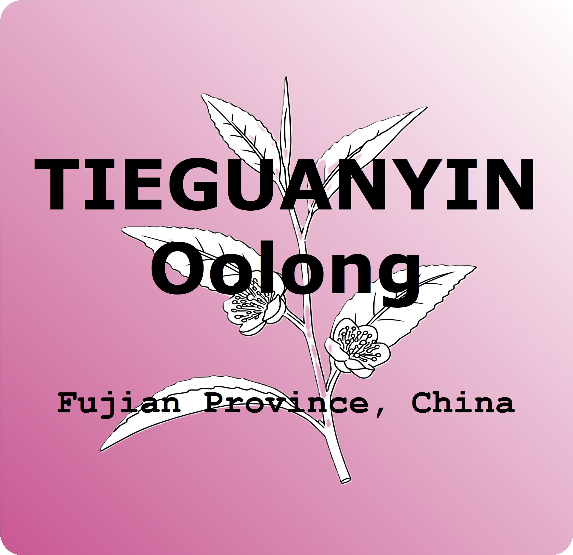 Tieguanyin.png