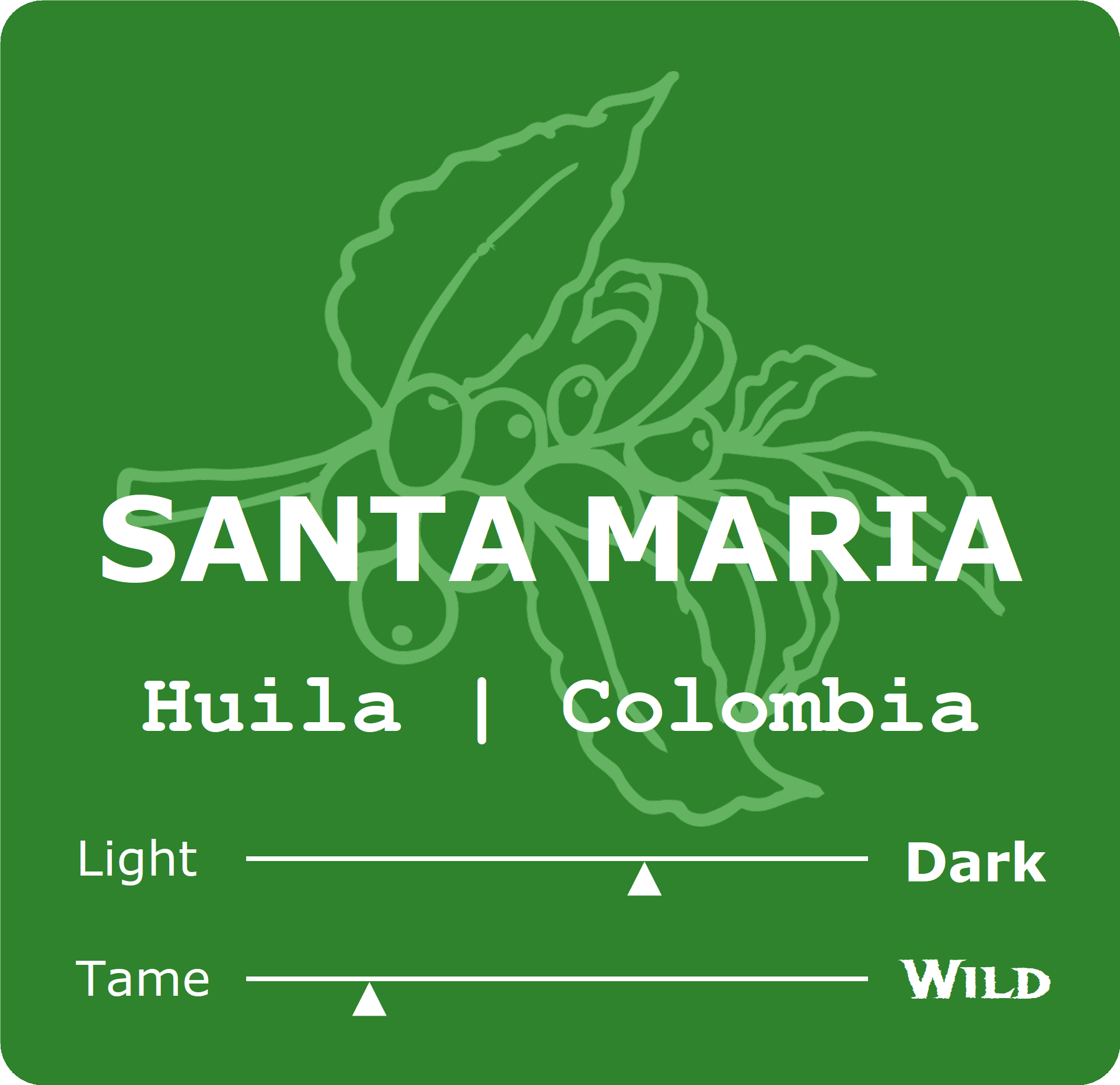 Santa Maria.png