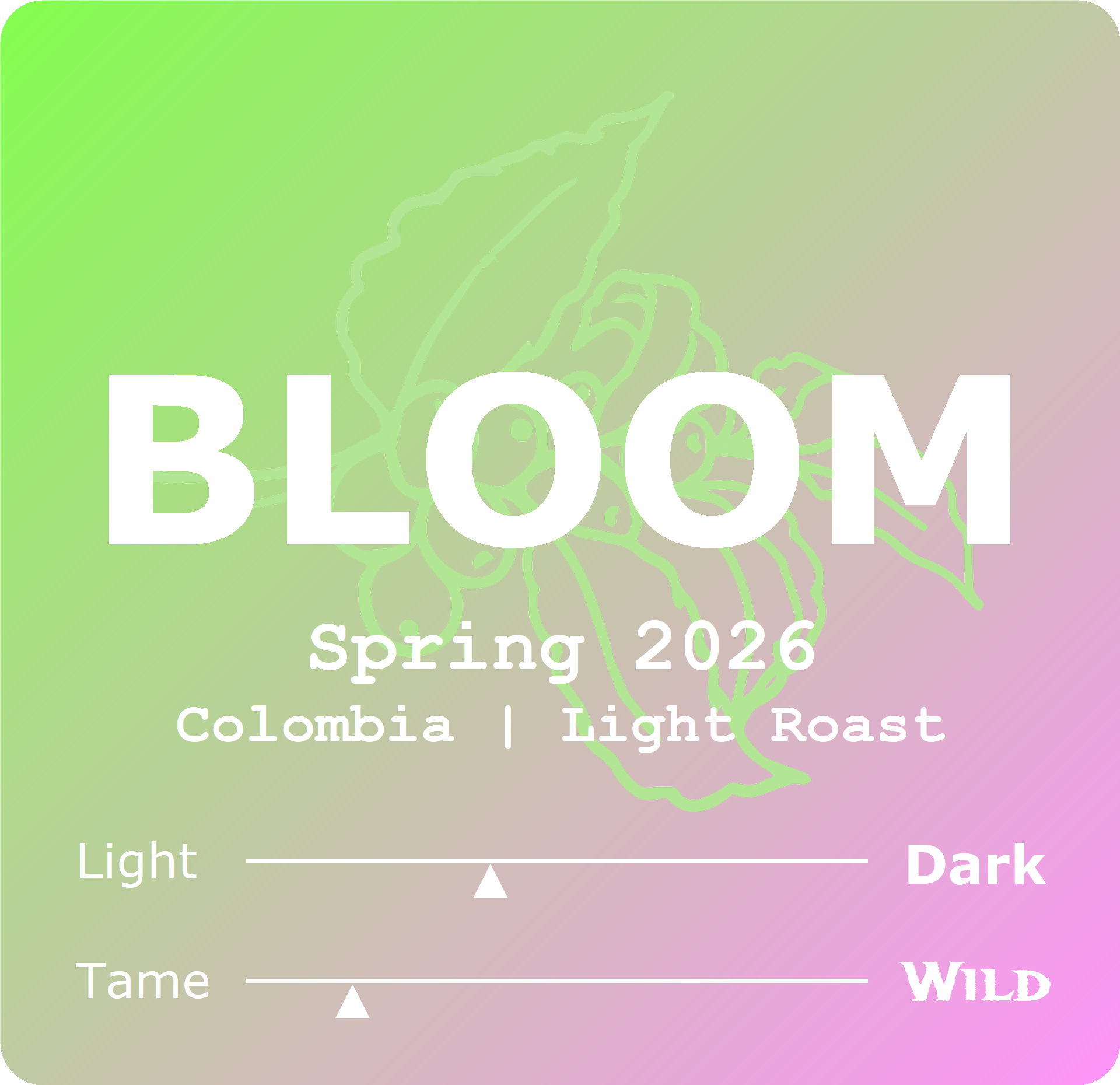 Bloom - Spring '26