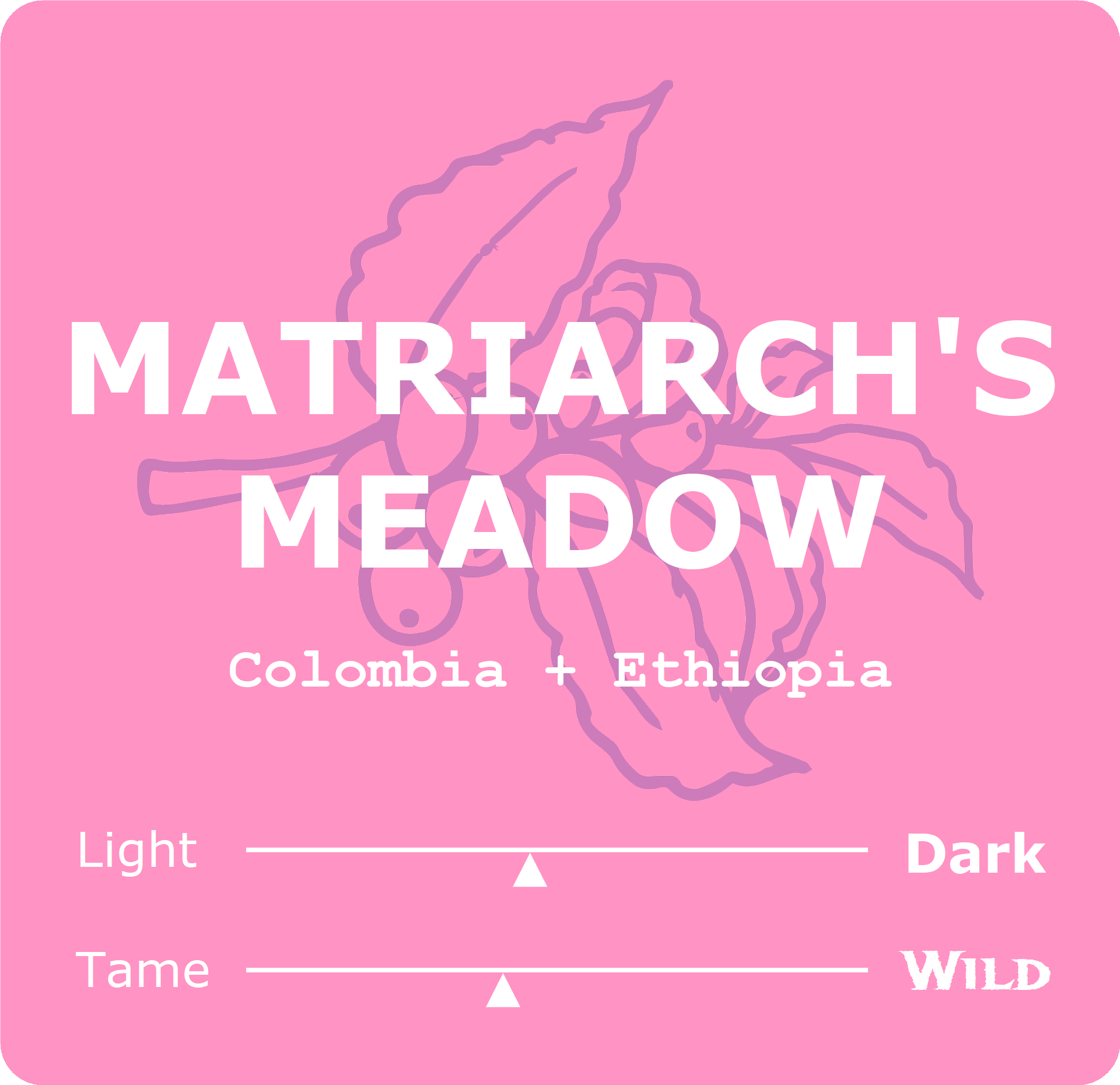 Meadow Square.png