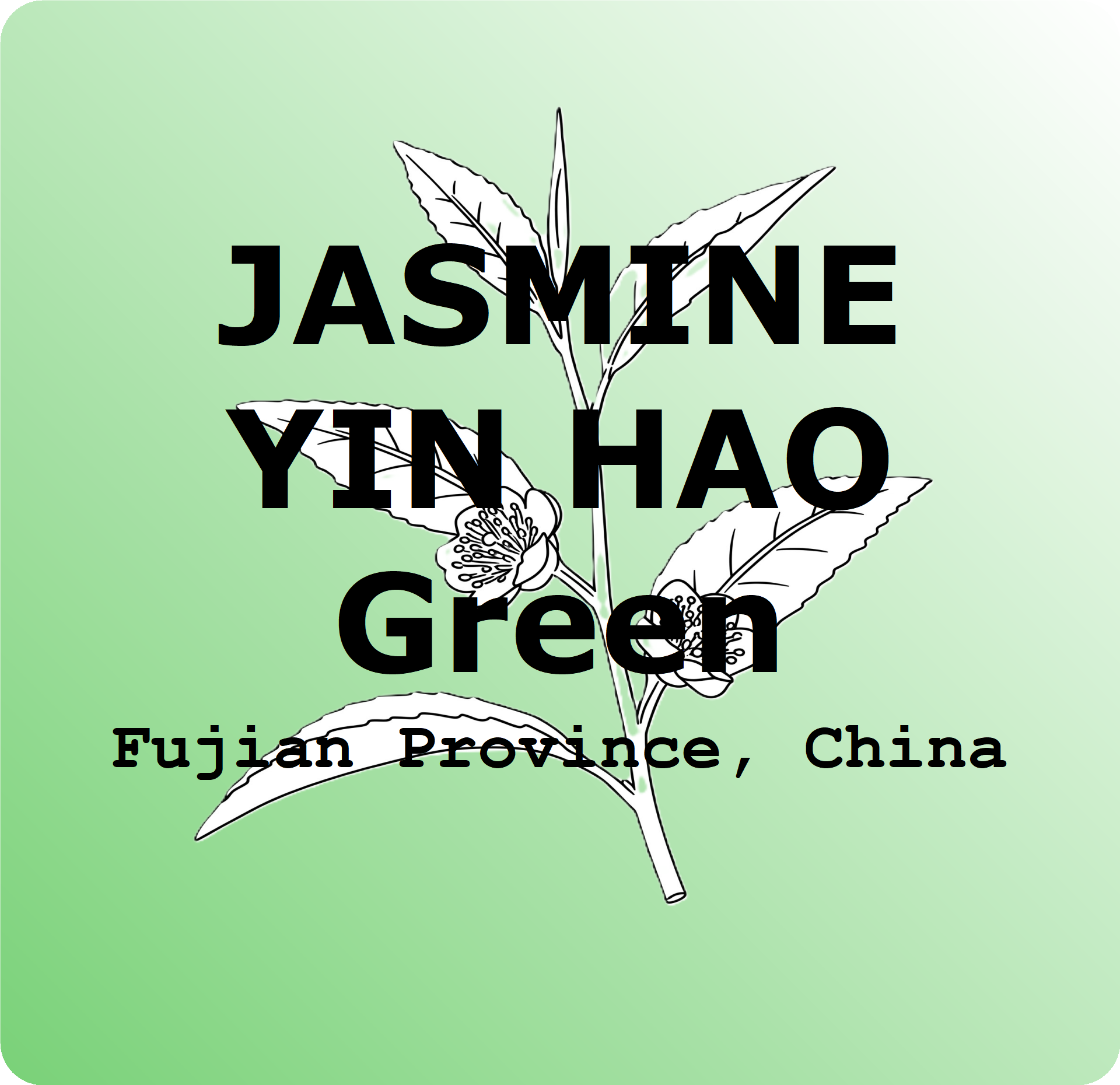 Jasmine Yin Hao - Green Tea 2oz