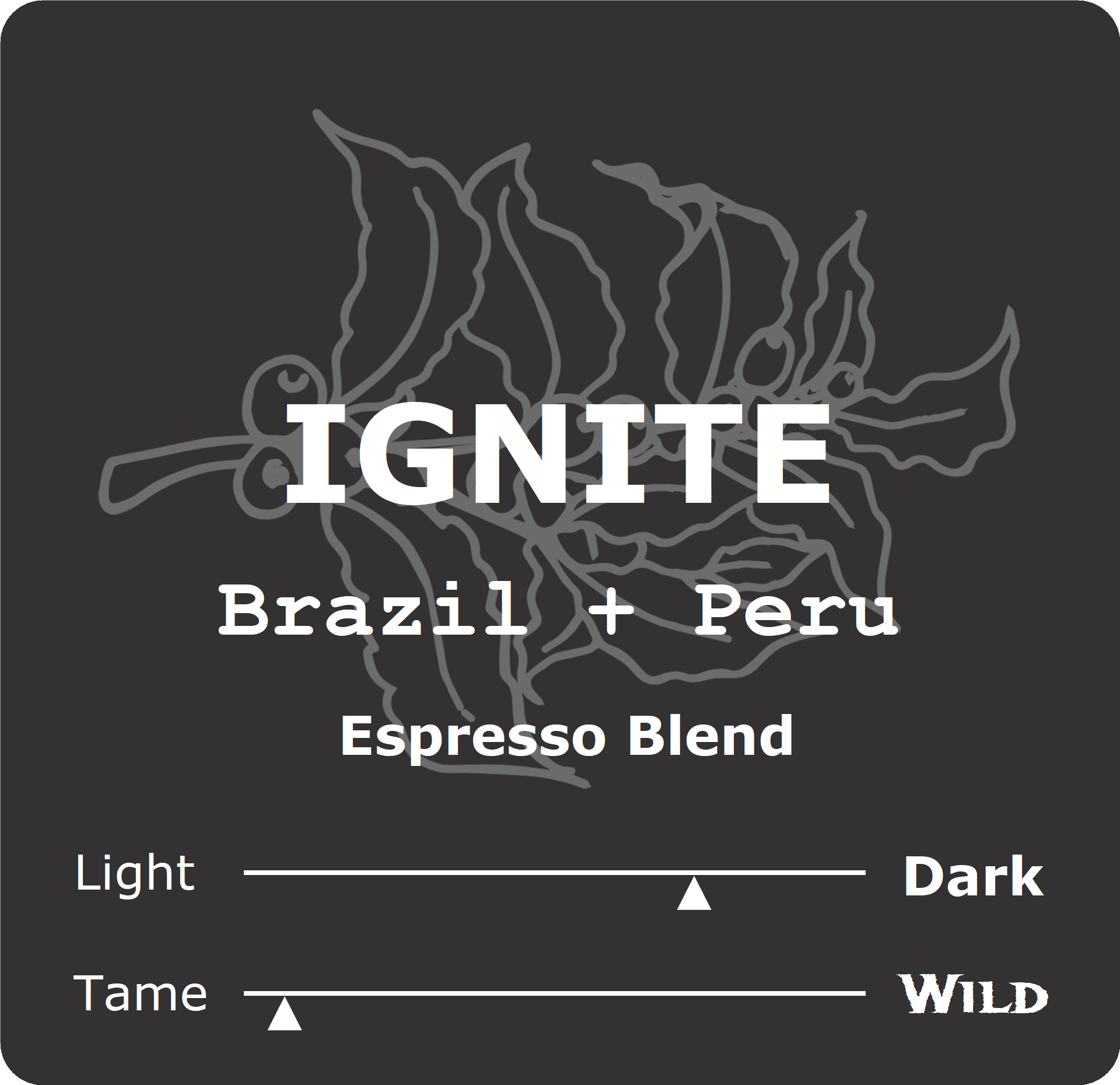 Ignite