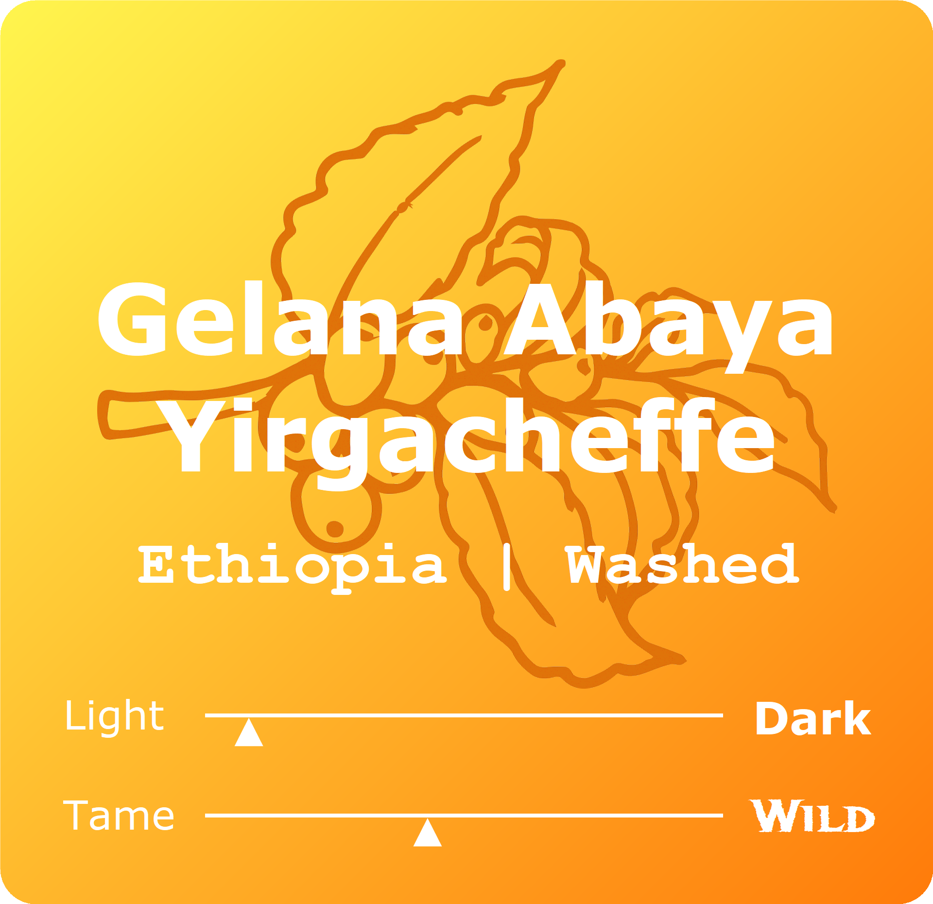 Ethiopia Gelana Abaya Yirgacheffe.png