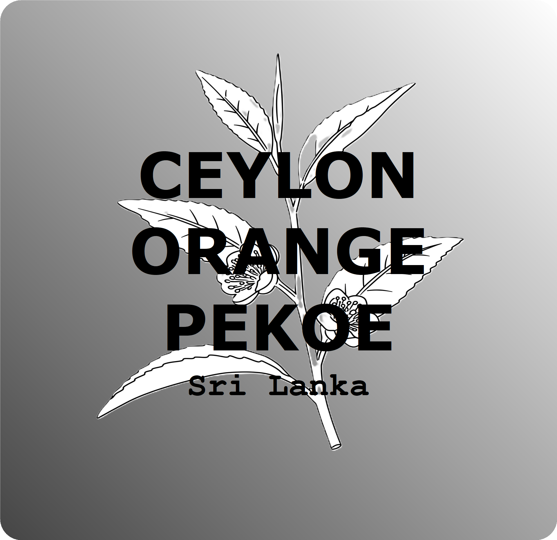 Ceylon OP - Black Tea 2oz