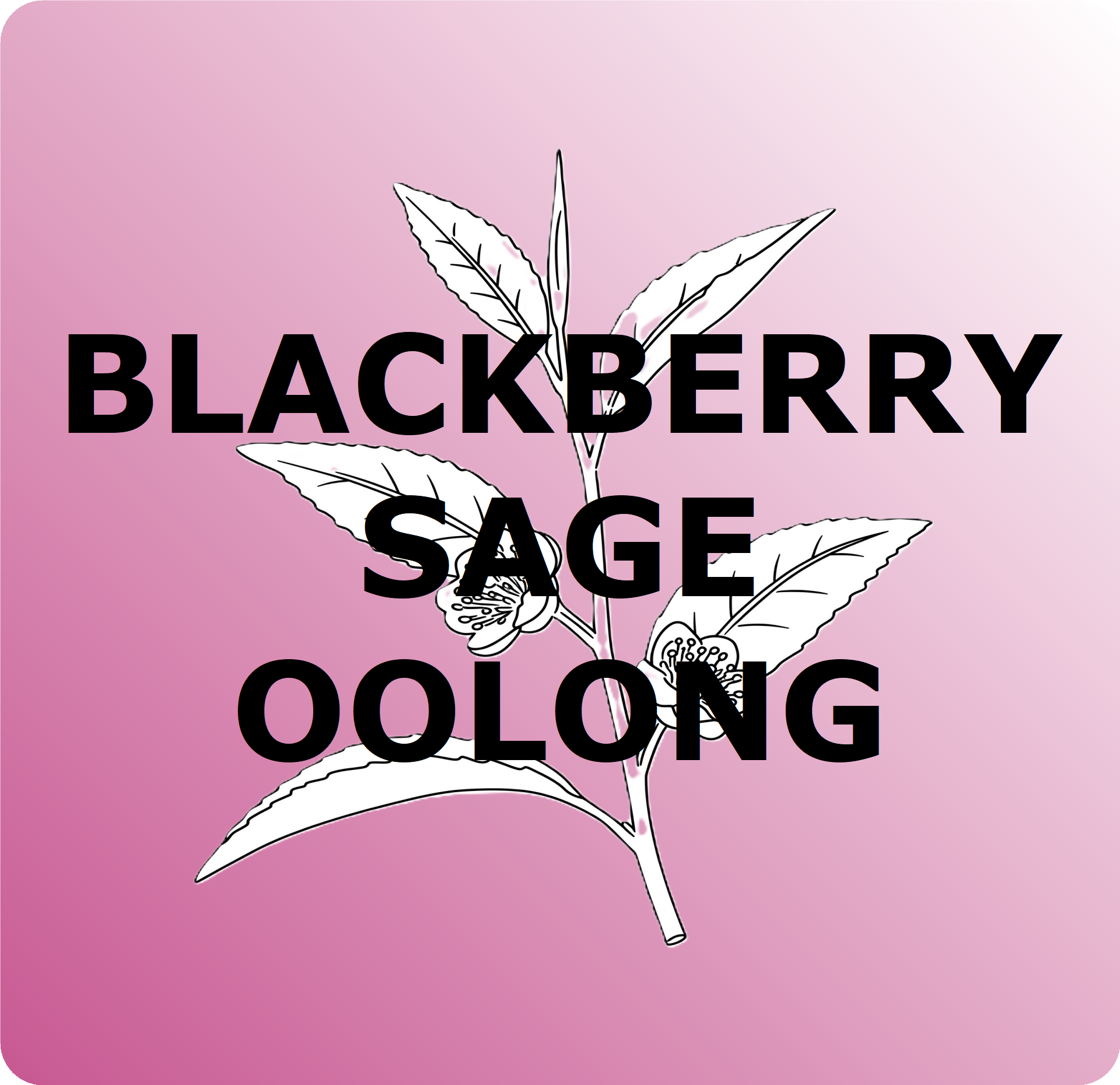 Blackberry Sage - Oolong 2oz