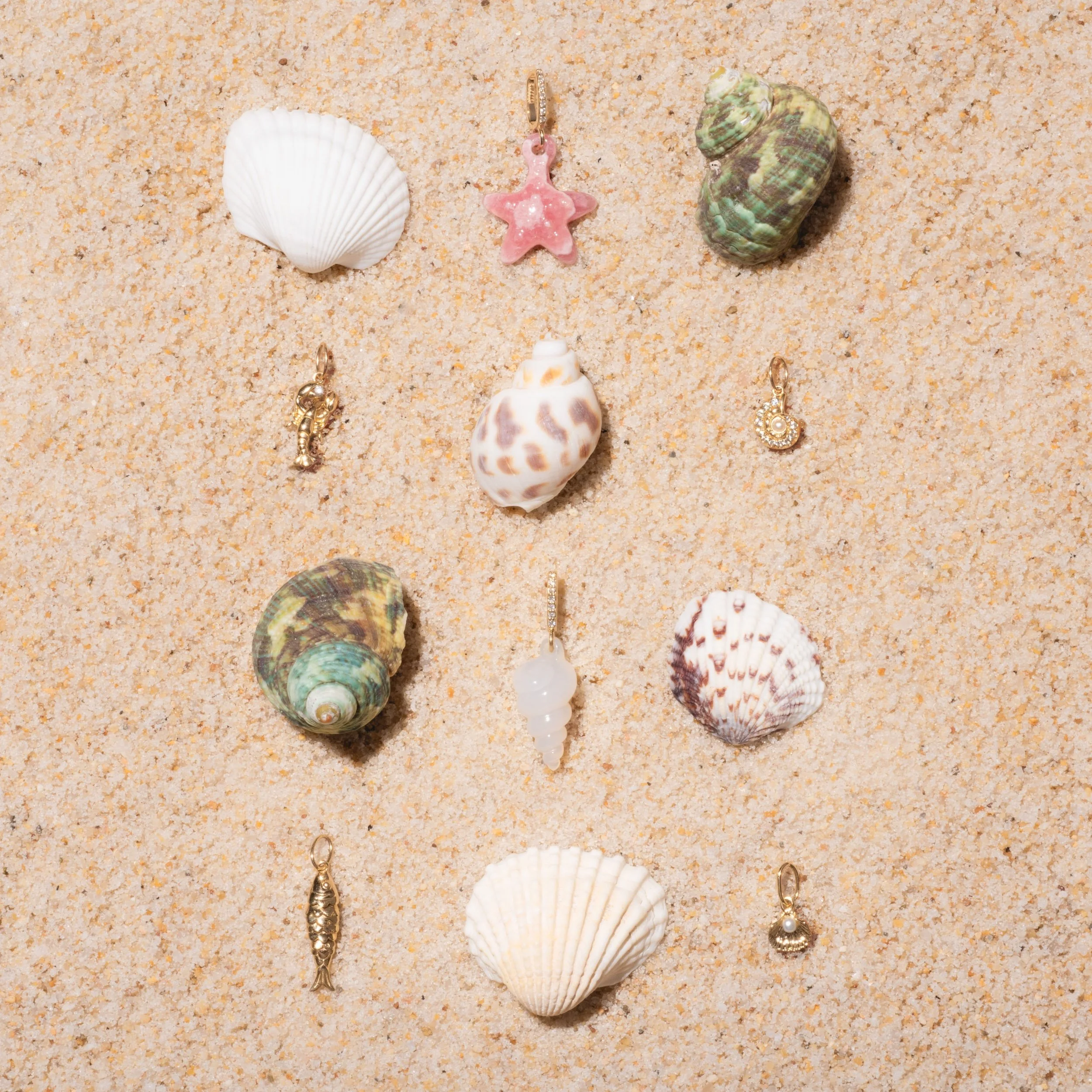   LOCAL ECLECTIC    Still Life  