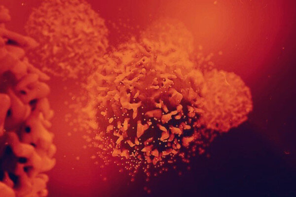 Akrevia Therapeutics Rebrands as Xilio Therapeutics and Announces $100.5 Million Series B Financing