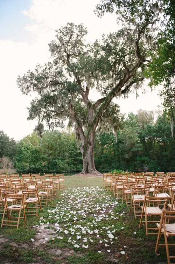 Ceremony Tree.jpg