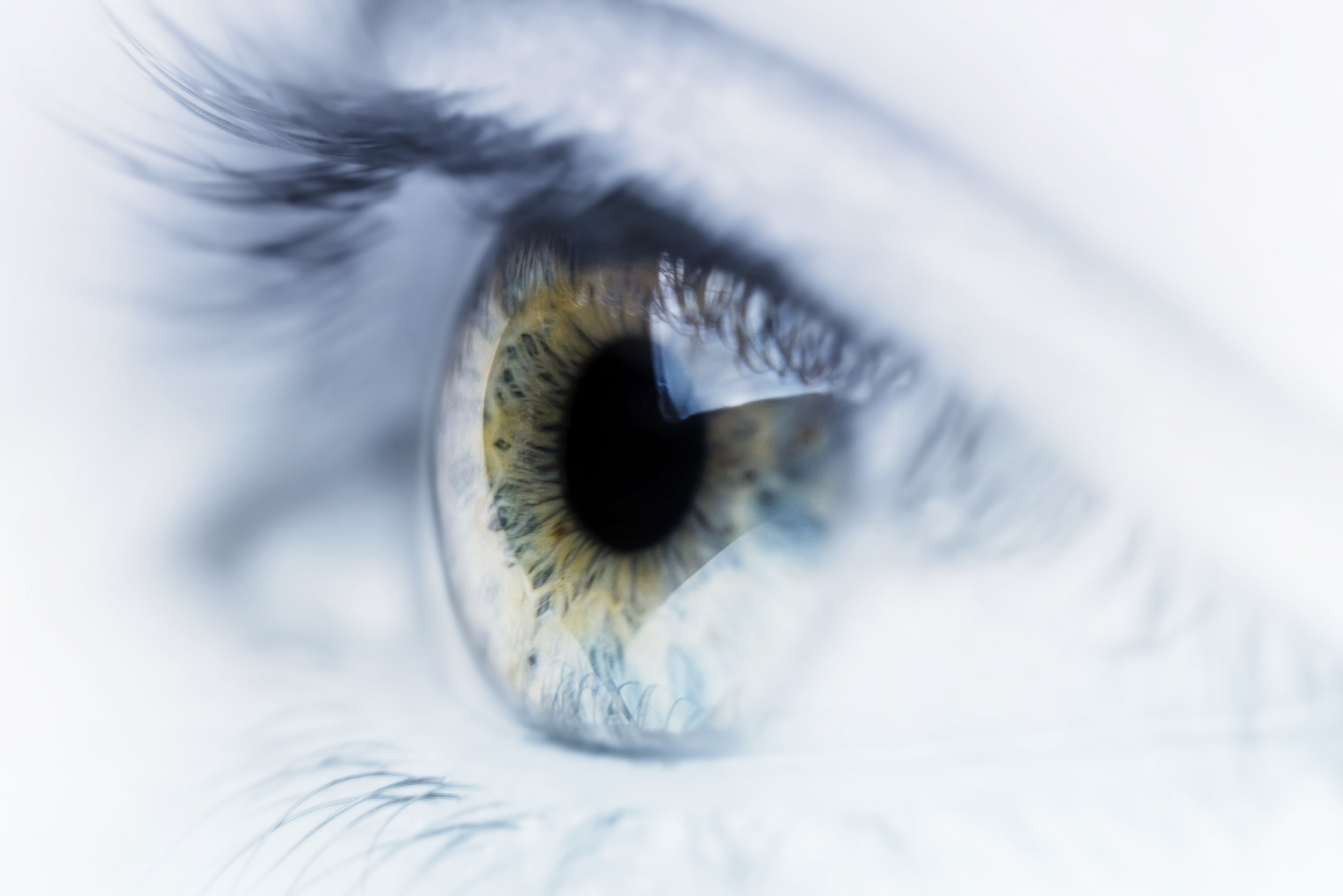 In➢VISION©