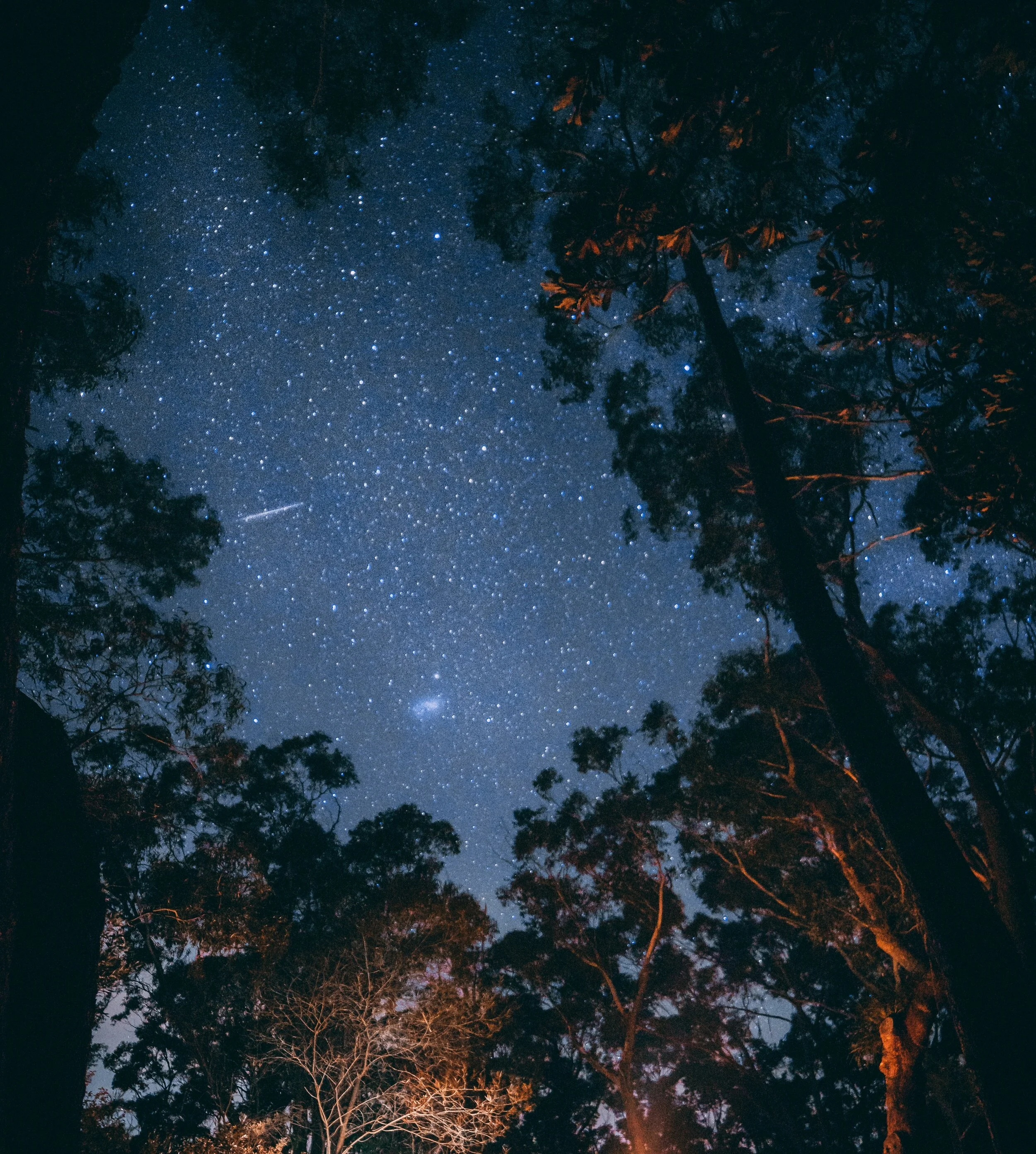 Your Adventure Story Pt. I