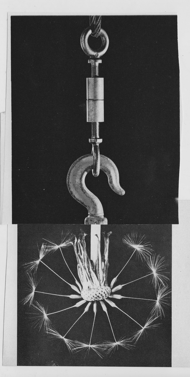 Scan-11_800.gif