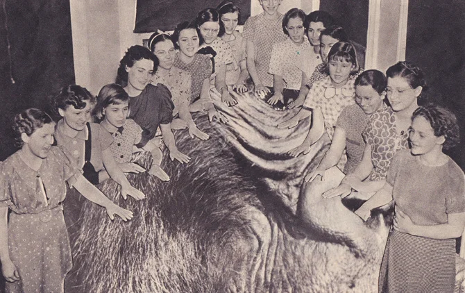 rilla.jpg