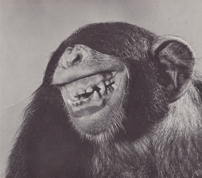 Scan-8.gif