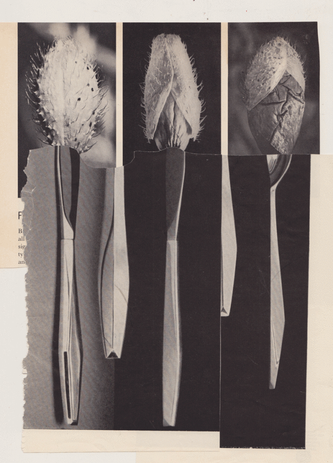 utensils_670.gif