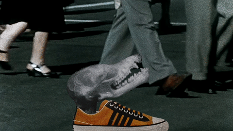 giphy-9.gif