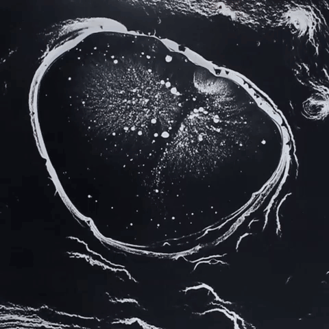 peekaboo GIF by Winston Hacking-downsized_large.gif