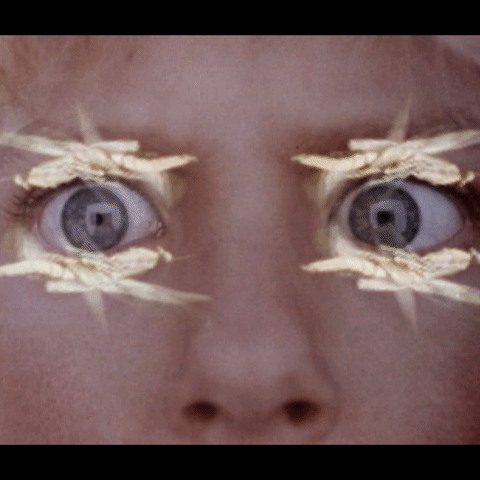 bug eyed GIF by Winston Hacking-downsized_large.gif
