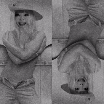 GIF by Winston Hacking-downsized_large (5).gif
