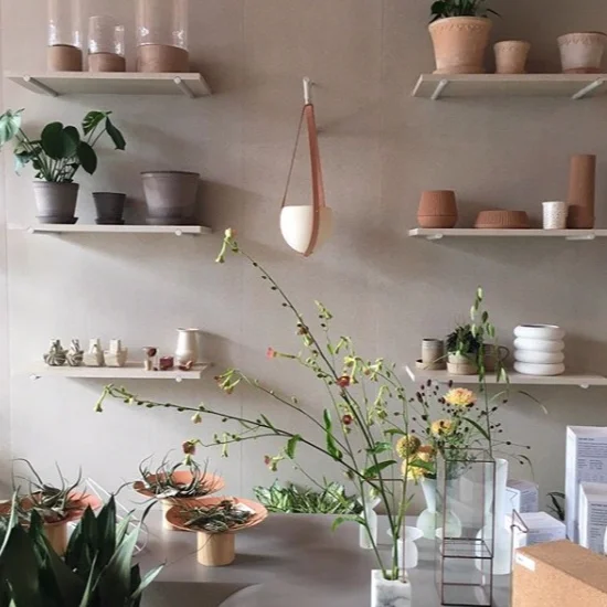 Screen+Shot+2019-03-07+at+12.52.57+PM.jpg