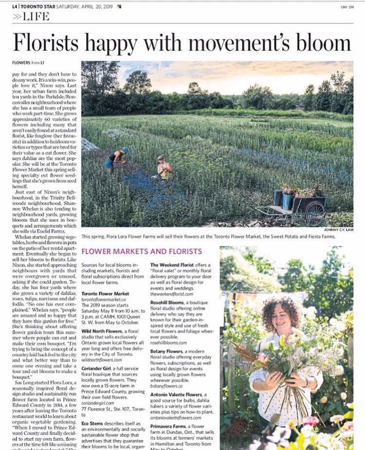 April 2019 : The Toronto Star // Debra Norton