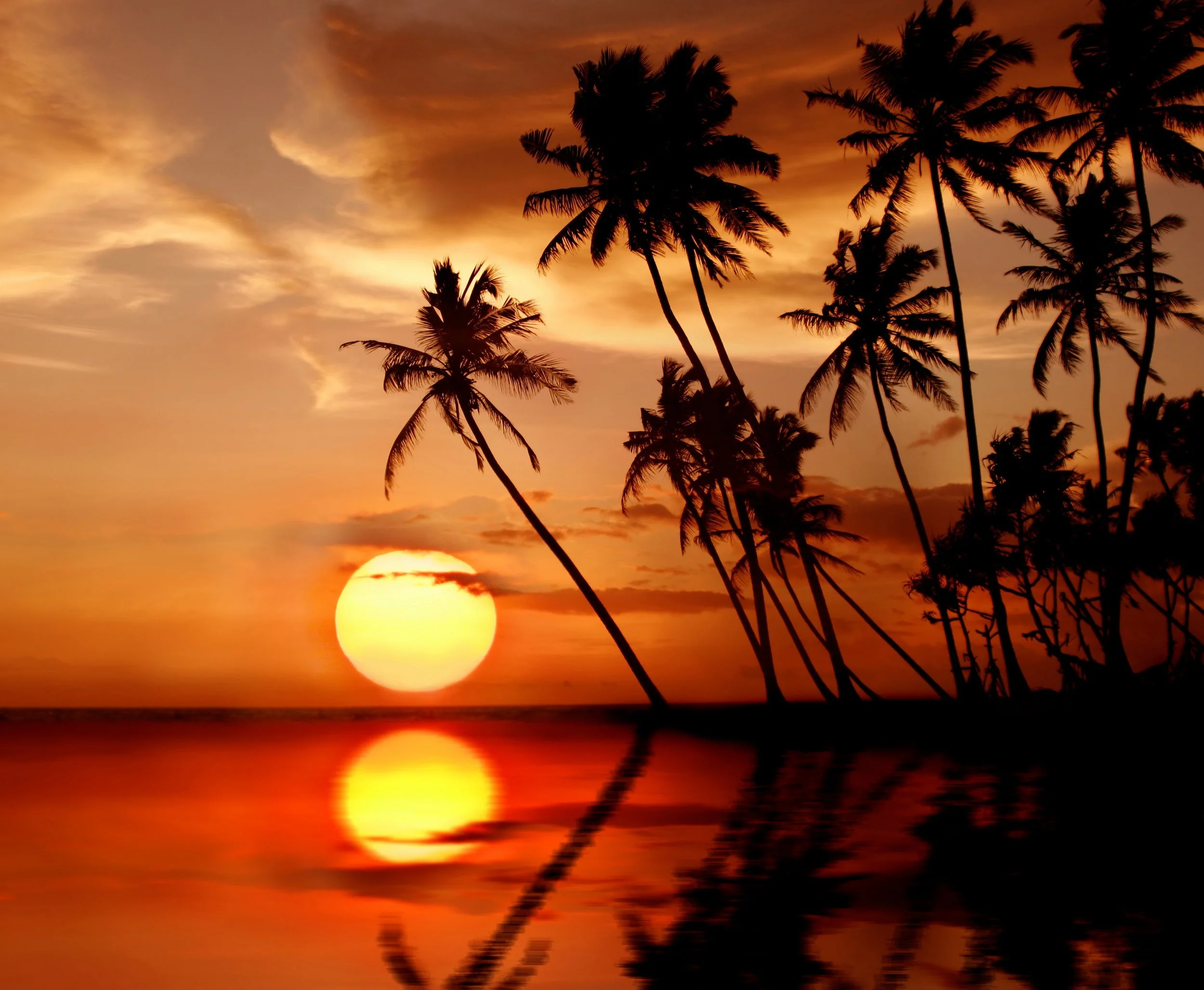 xinature.com-sunsets-sunset-tropical-paradise-beach-palms-photo-high-resolution.jpg
