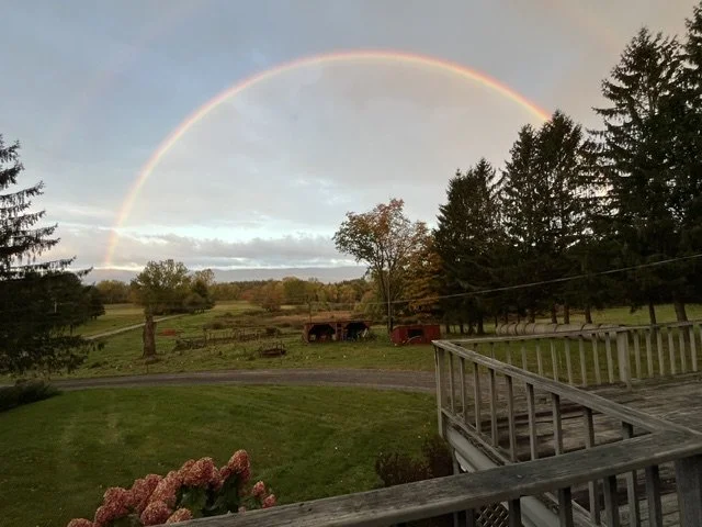 EMF Rainbow.jpeg