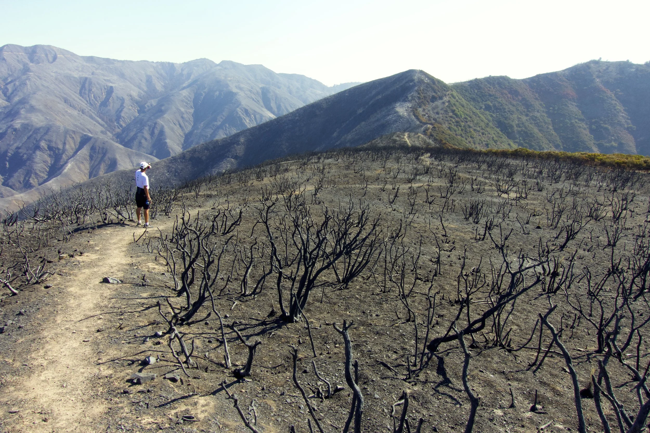 Rob M looks towards Los Pinos Peak. 