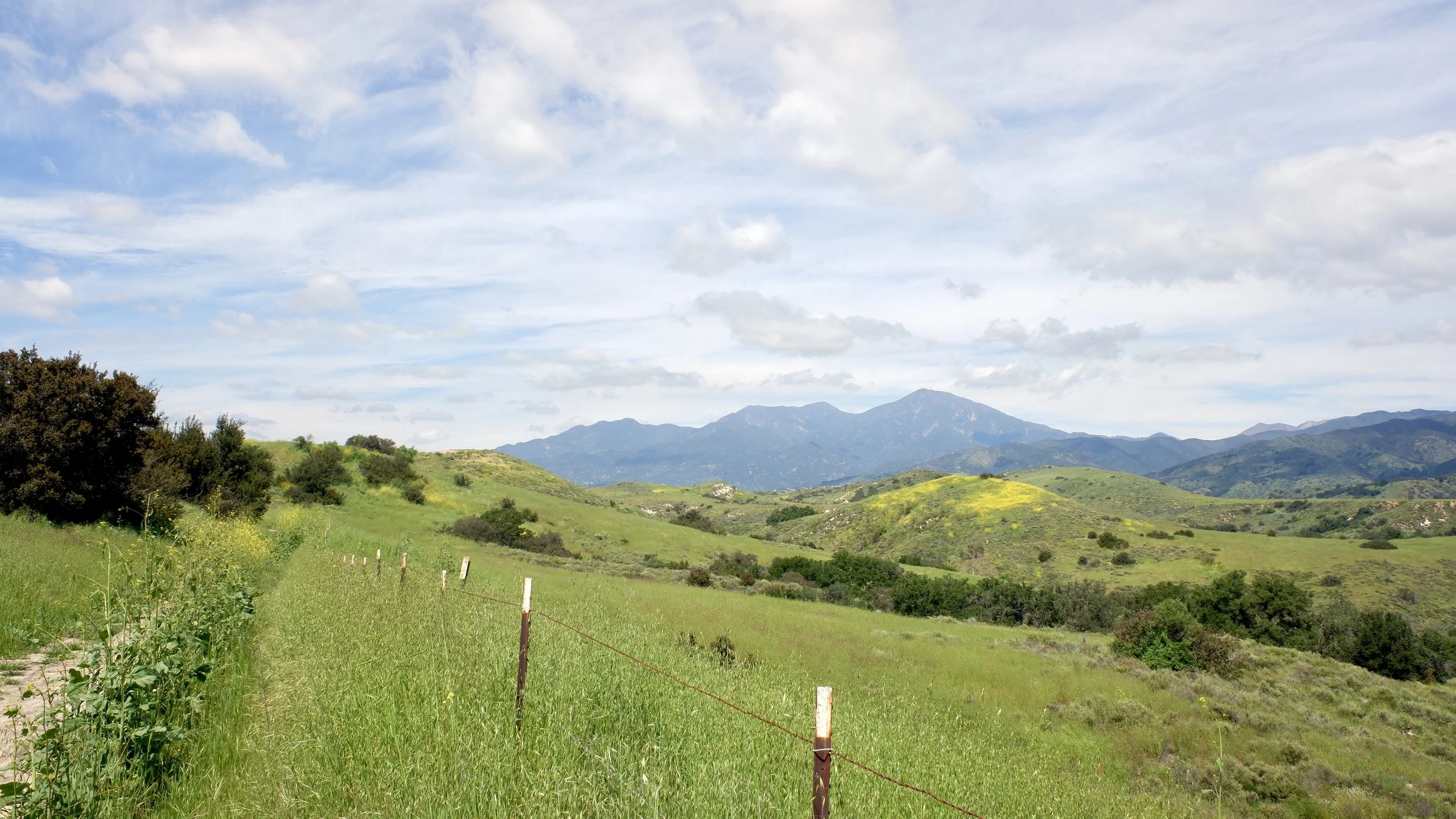Bell View Trail - This Spring