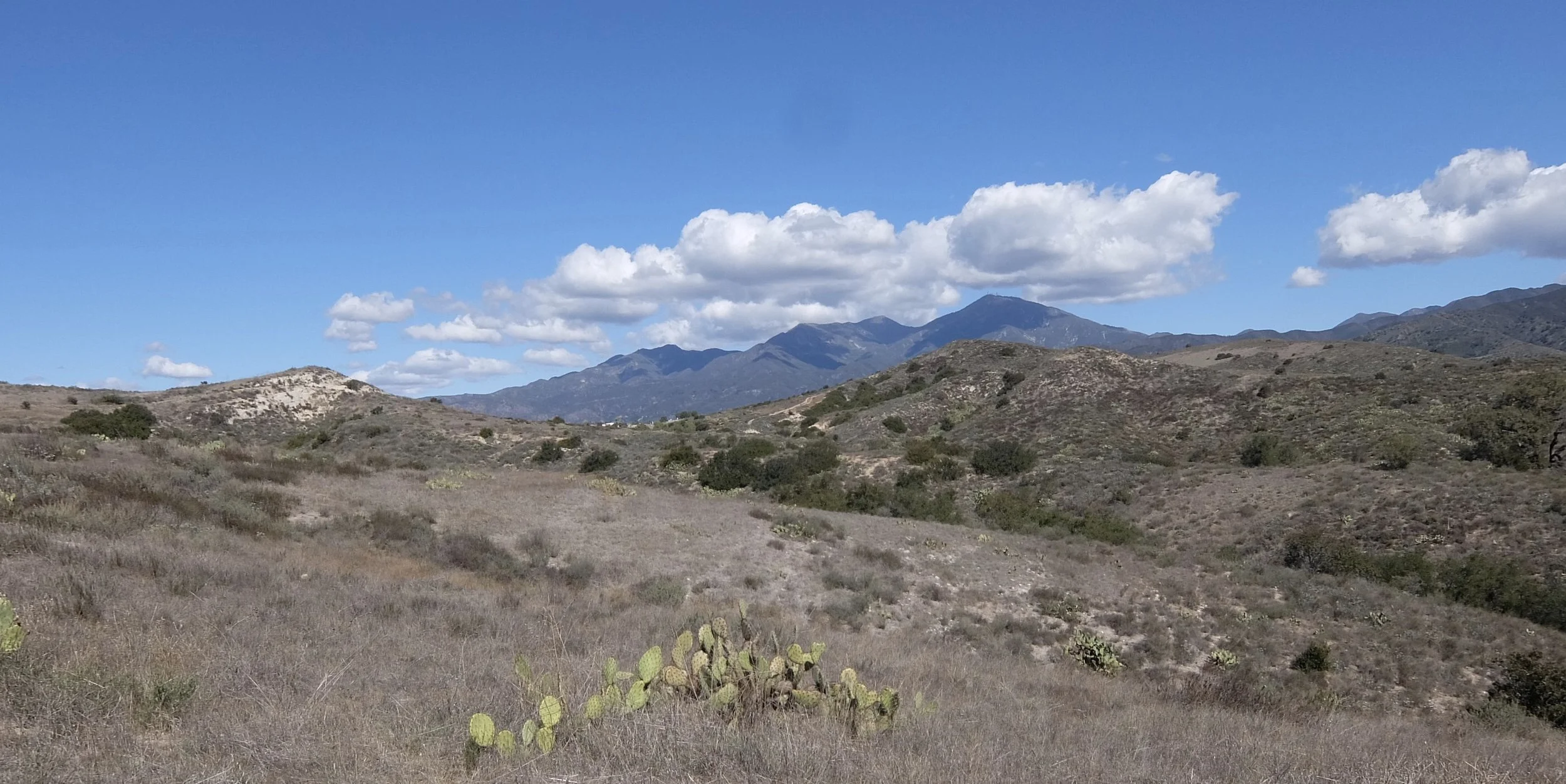 Bell View Trail - Last Spring